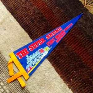 Vintage Souvenir Pennant